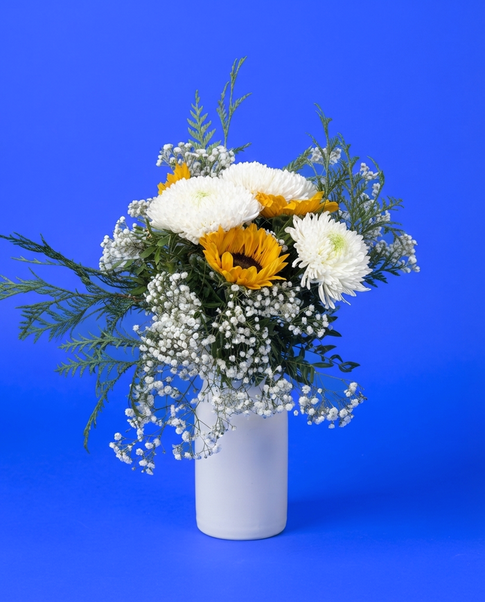 Tú puedes